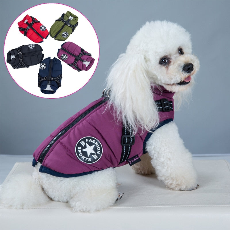 Harnais pour animaux de compagnie gilet vêtements chiot vêtements imperméable chien veste hiver chaud vêtements pour animaux de compagnie pour petits chiens Shih Tzu Chihuahua carlin manteau