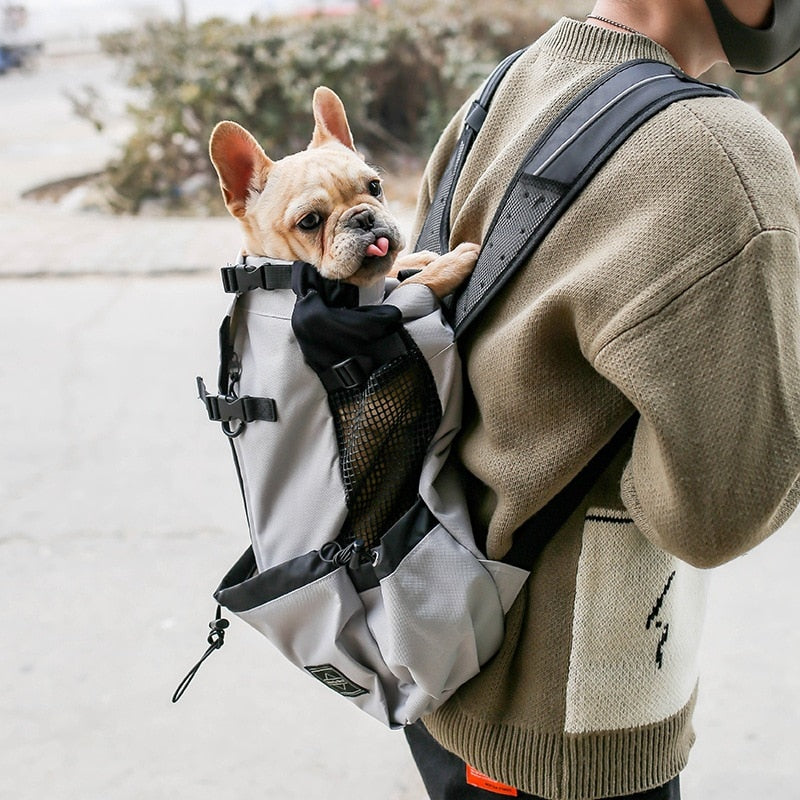 1PC chien transporteur animal de compagnie épaule voyageur sac à dos chien affleurement sacs Ventilation respirant lavable en plein air vélo randonnée sac à dos